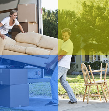 services image